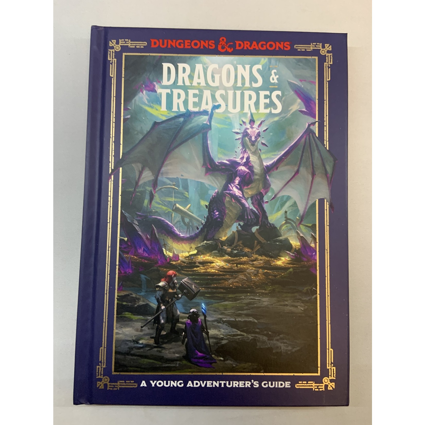 Wizards of the Coast D&D Young Adventurer's Guide: Dragons & Treasures