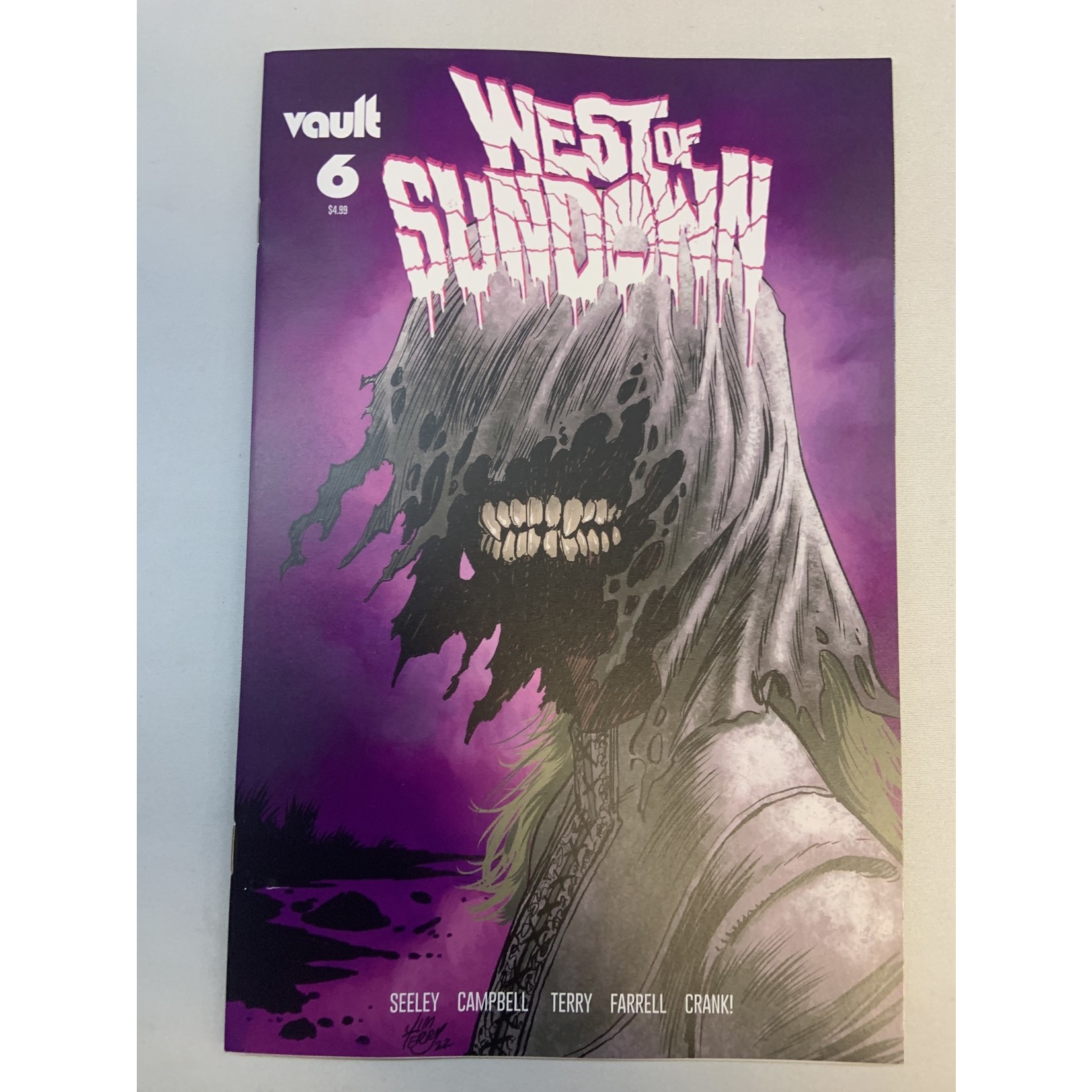VAULT COMICS West Of Sundown 2022 #6 Cvr B Terry