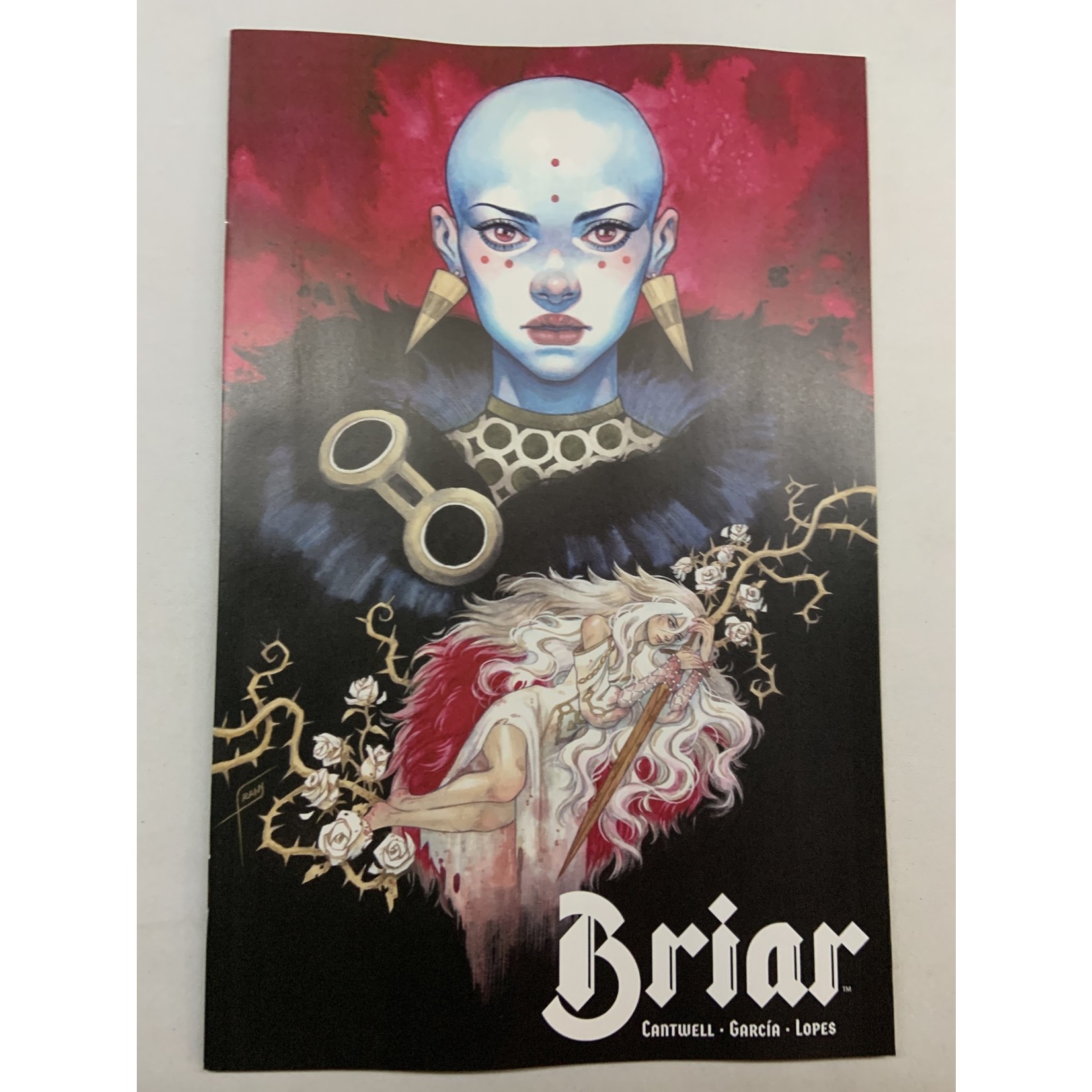 BOOM! STUDIOS Briar 2022 #2 (Of 4) Cvr C Frany