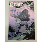 BOOM! STUDIOS Briar 2022 #2 (Of 4) Cvr B Paquette