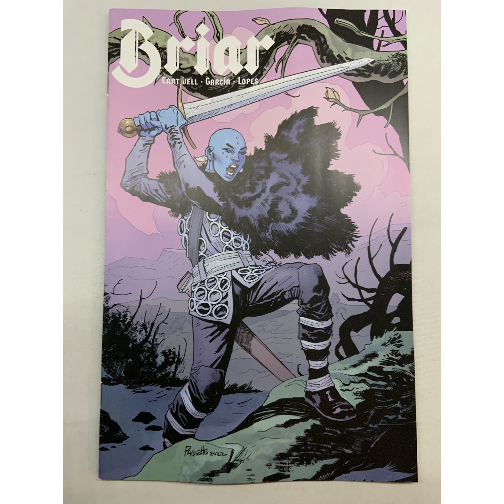 BOOM! STUDIOS Briar 2022 #2 (Of 4) Cvr B Paquette