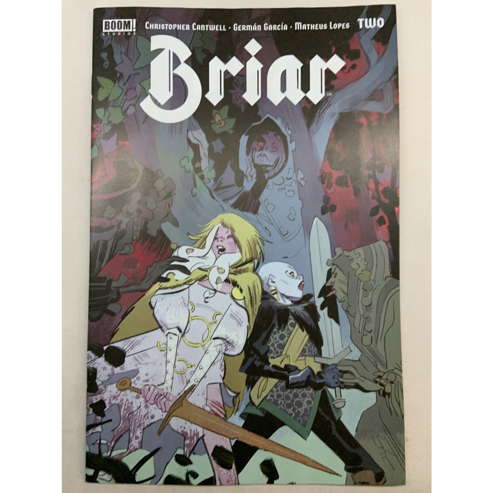 BOOM! STUDIOS Briar 2022 #2 (Of 4) Cvr A Garcia