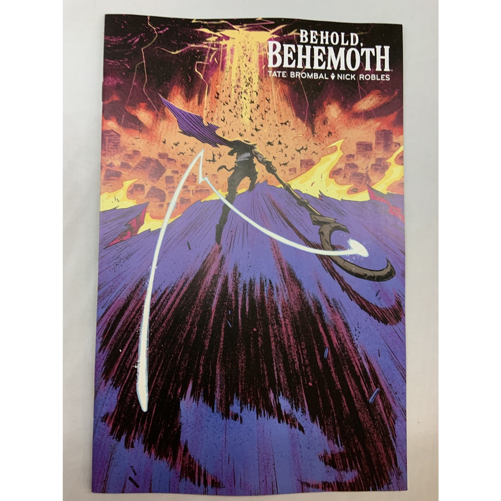 BOOM! STUDIOS Behold Behemoth 2022 #2 (Of 5) Cvr B Stokely