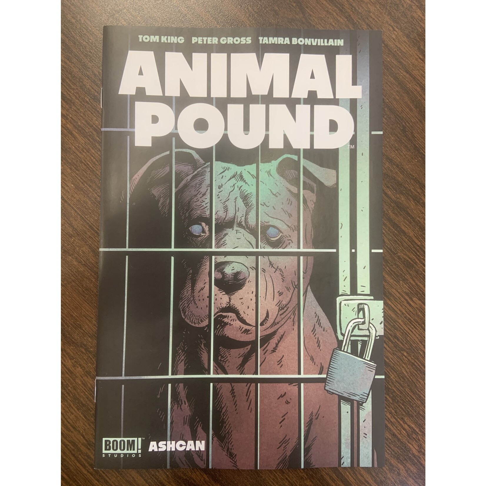 BOOM! STUDIOS Animal Pound 2023 #1 Cvr A Ashcan Gross