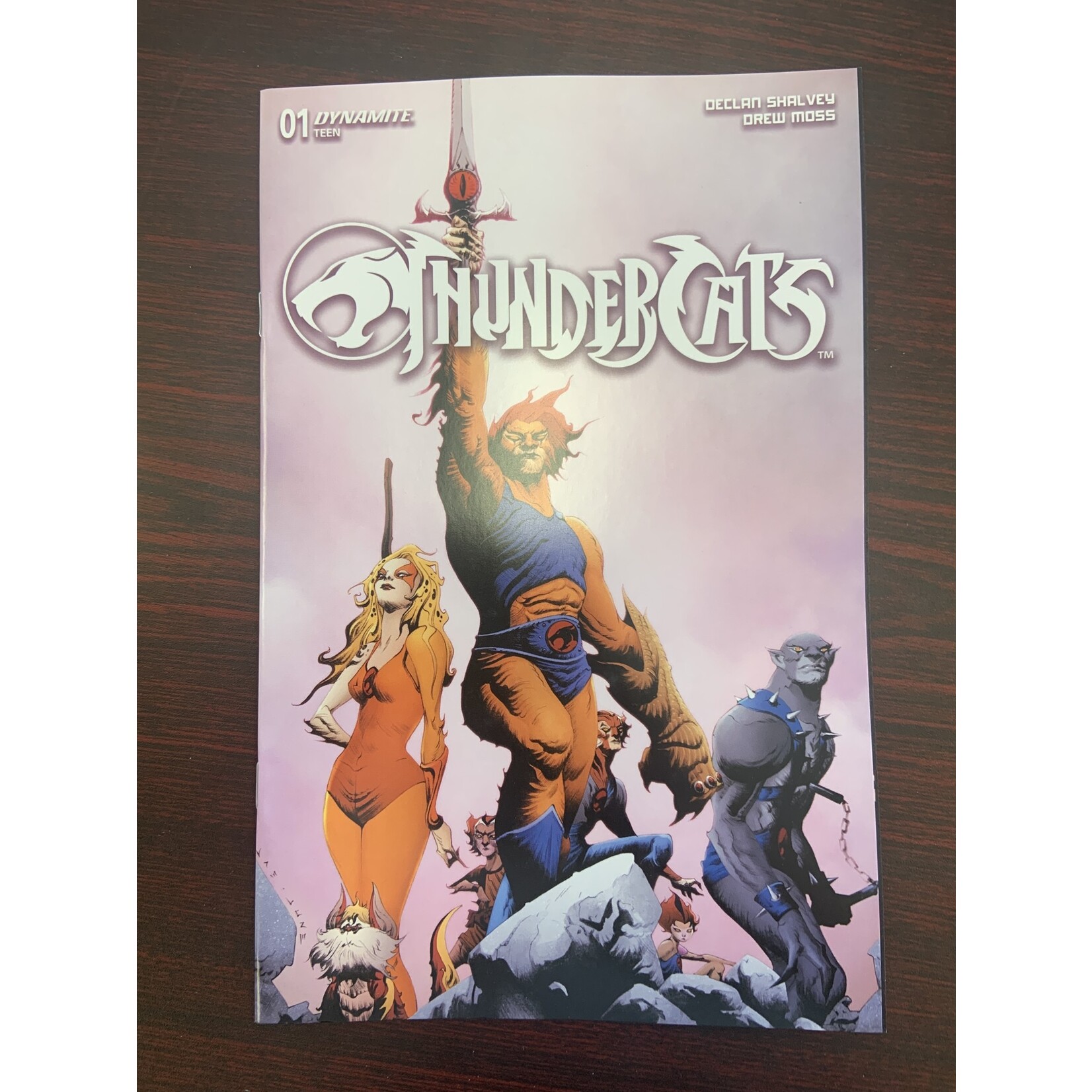 DYNAMITE Thundercats 2024 #1 Cvr D Lee & Chung