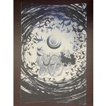 BOOM! STUDIOS Displaced 2024 #1 (Of 5) Cvr C 10 Copy Incv Casalanguida