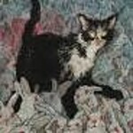 BOOM! STUDIOS Animal Pound 2023 #2(Of 4) Cvr B Shimizu (Mr)