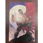 ONI PRESS INC. Akogun Brutalizer Of Gods 2024 #1 Cvr D 20 Copy Incv Full Art (Mr