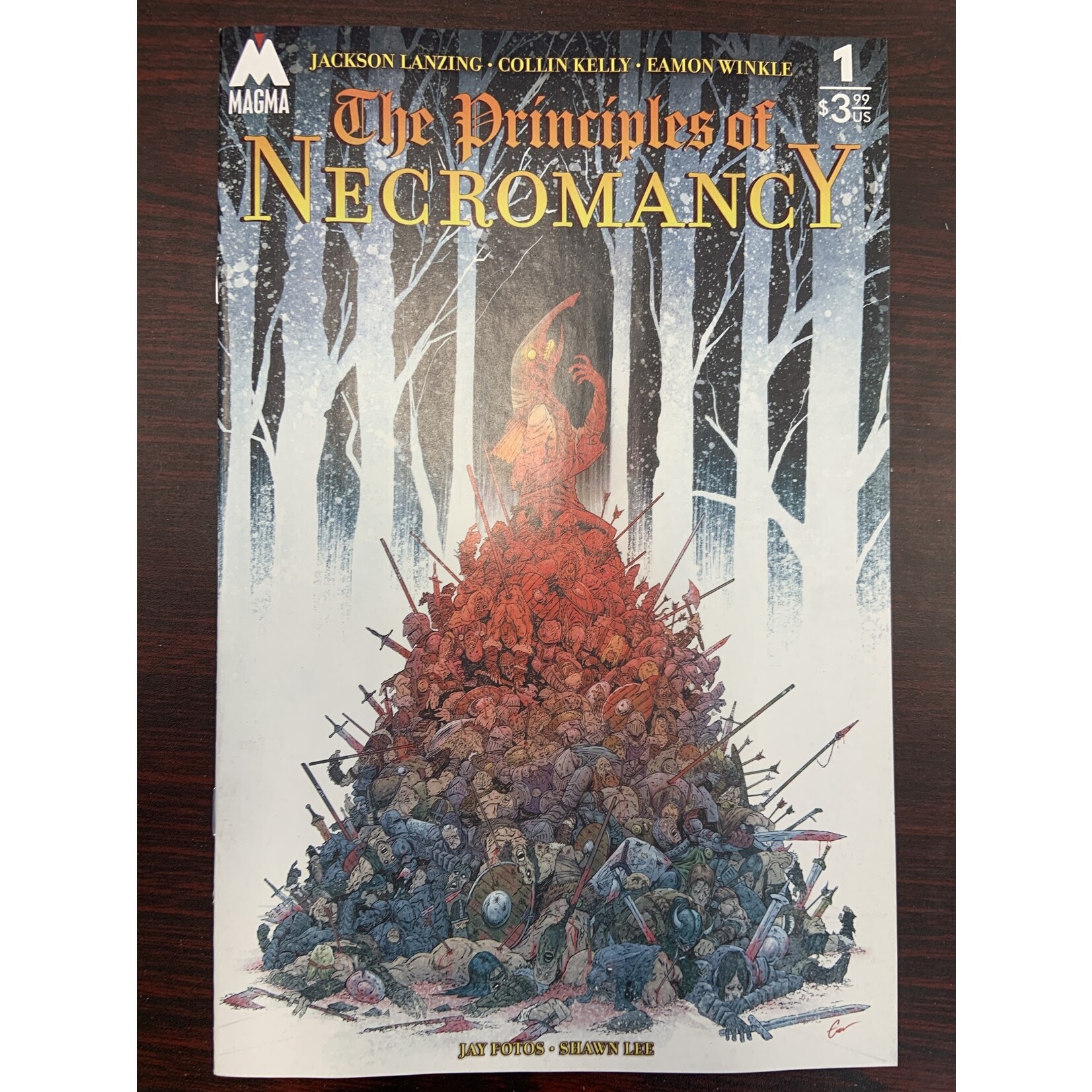 Magma Comix Principles Of Necromancy 2024 #1 Cvr A Winkle
