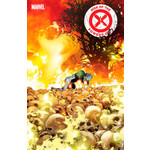 Marvel Comics Rise of the Powers of X  FHX (2024) #4A