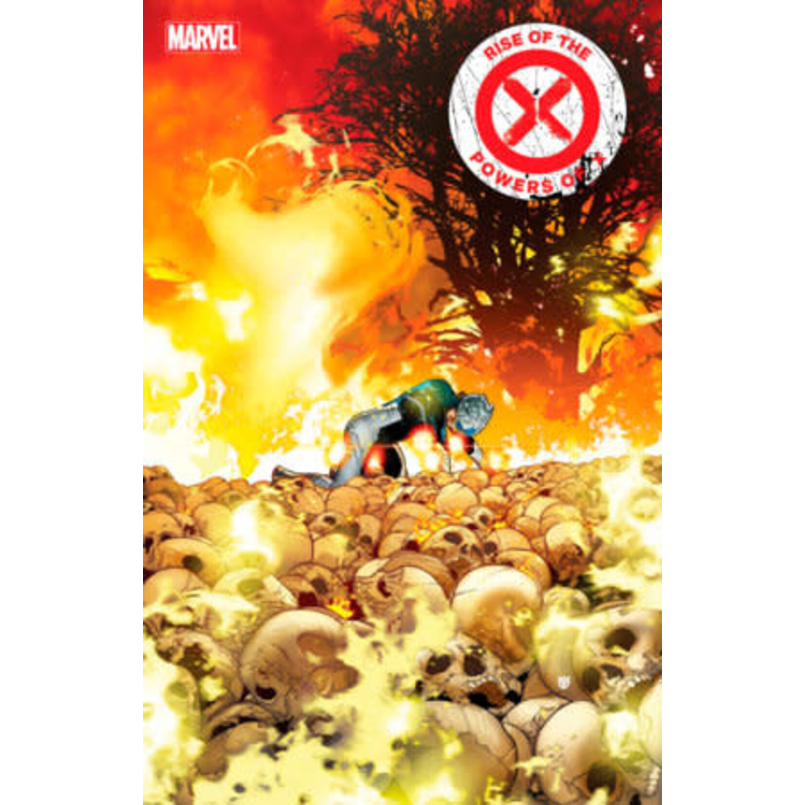 Marvel Comics Rise of the Powers of X  FHX (2024) #4A