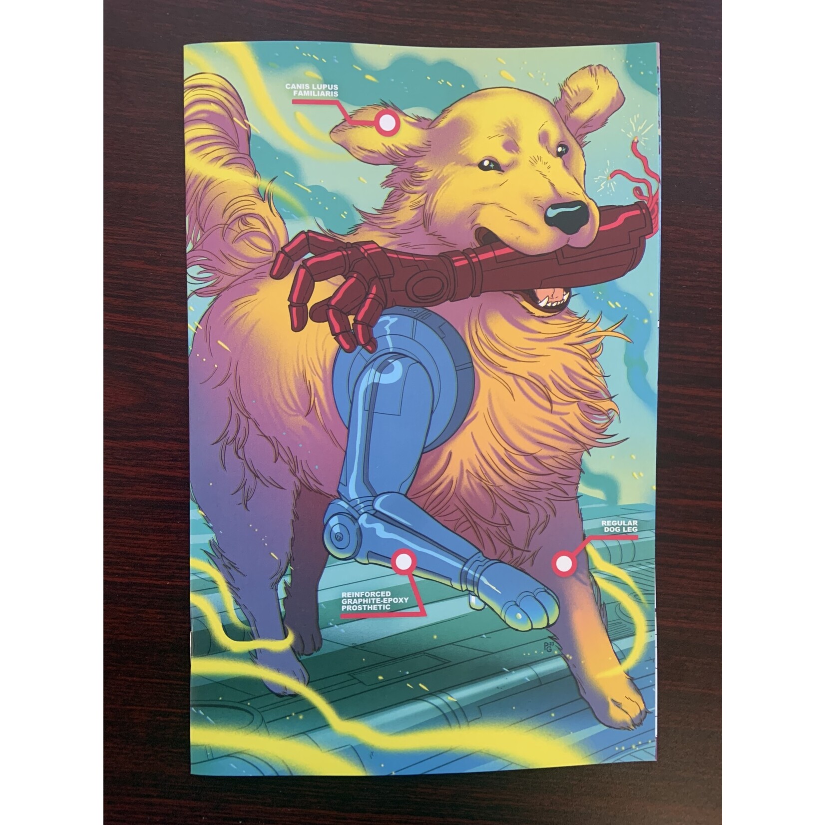 BOOM! STUDIOS Mans Best 2024 #3 (Of 5) Cvr C 25 Copy Incv Ganucheau