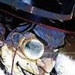 DC Comics The Penguin 2023 #10