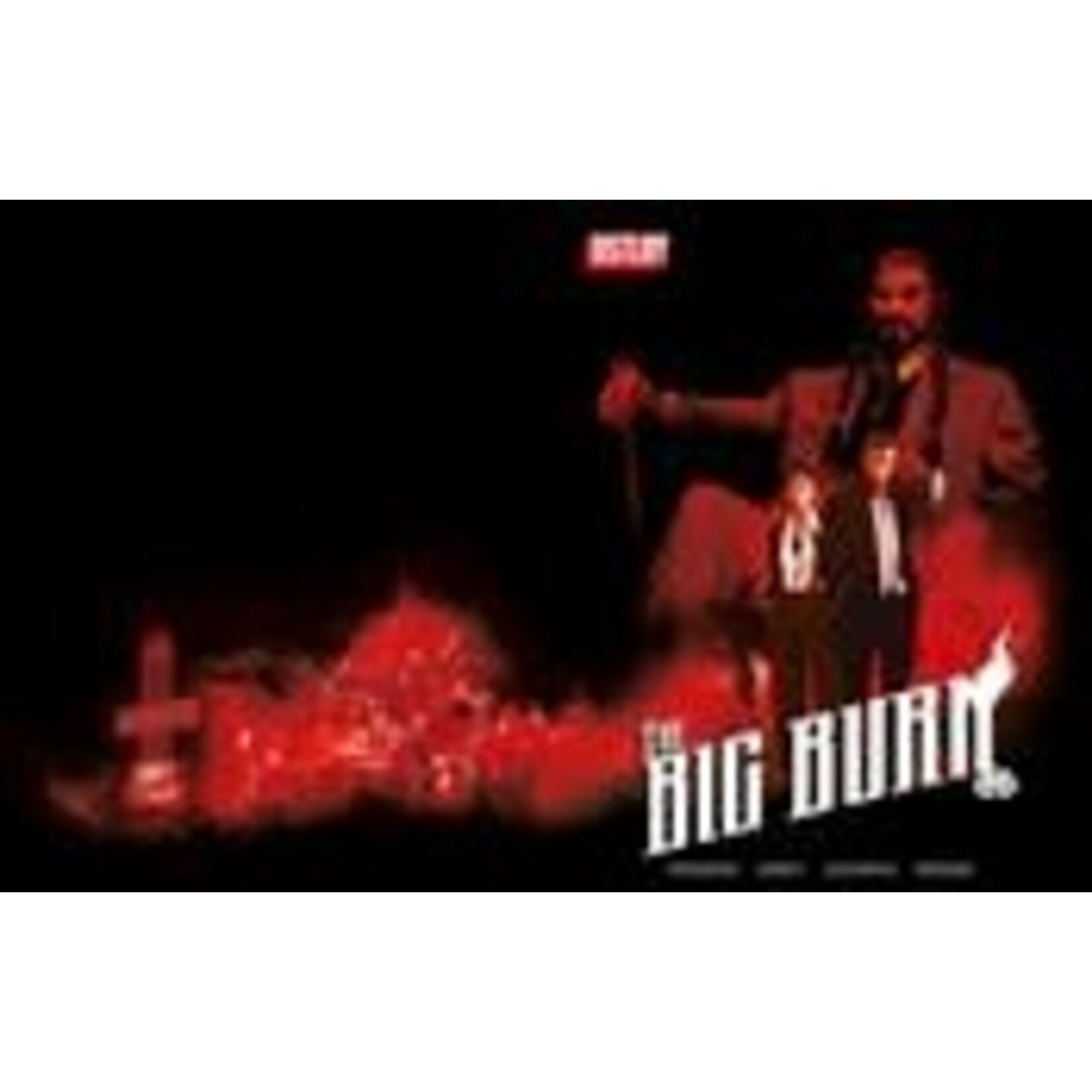 DSTLRY The Big Burn (2024) #1A Garbett