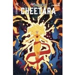 DYNAMITE Thundercats Cheetara 2024 #2 Cvr B Brandt & Stein