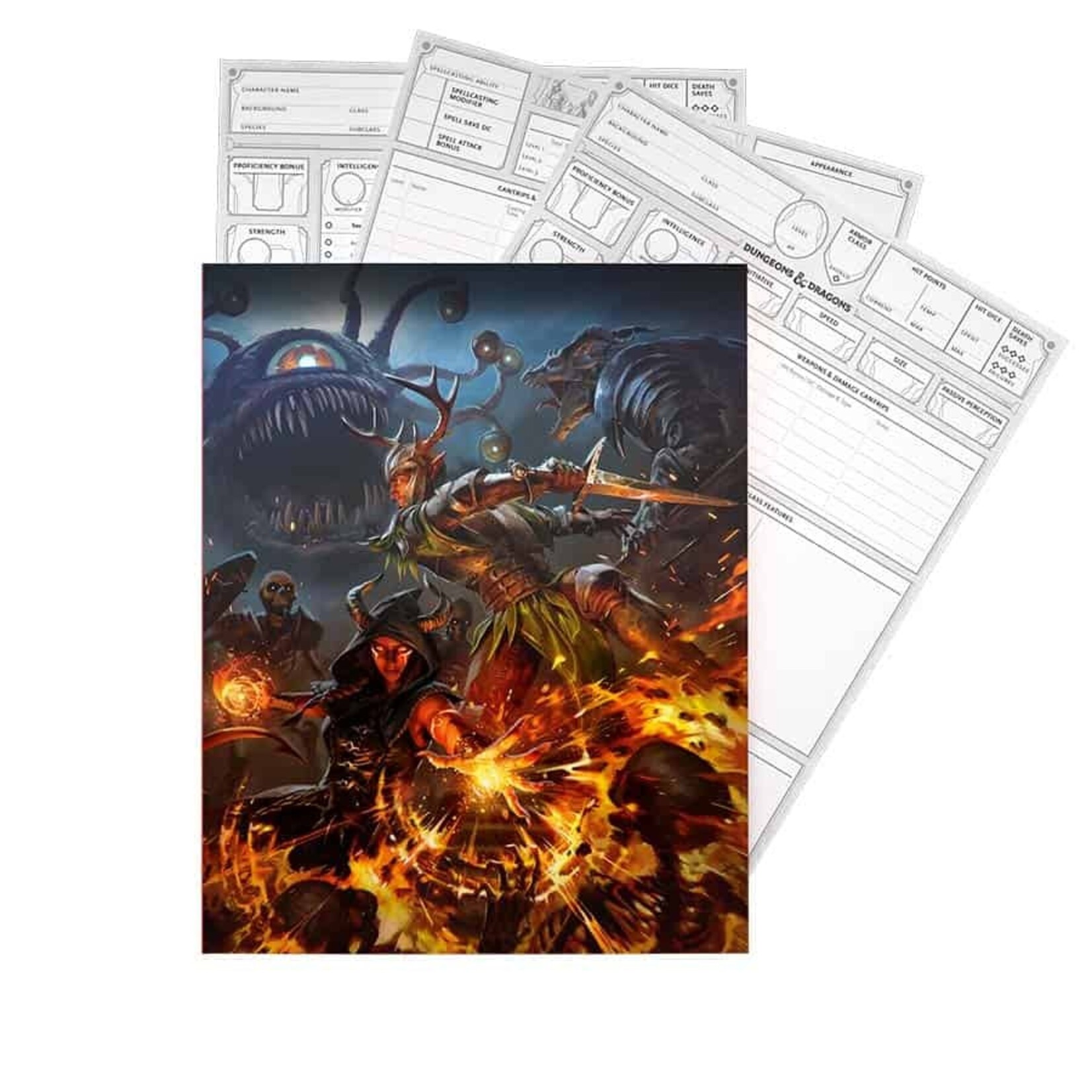 Wizards of the Coast D&D 5E 2024 Character Sheets
