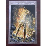 DYNAMITE Terminator 2024 #1 Cvr E Ross Burning Earth Icon