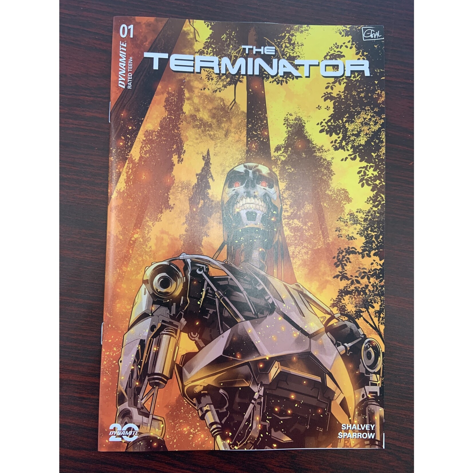 DYNAMITE Terminator 2024 #1 Cvr B Galmon