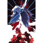 BOOM! STUDIOS Wynd The Power of Blood (2024) #1D (of 8 )20 cpy incv Boo