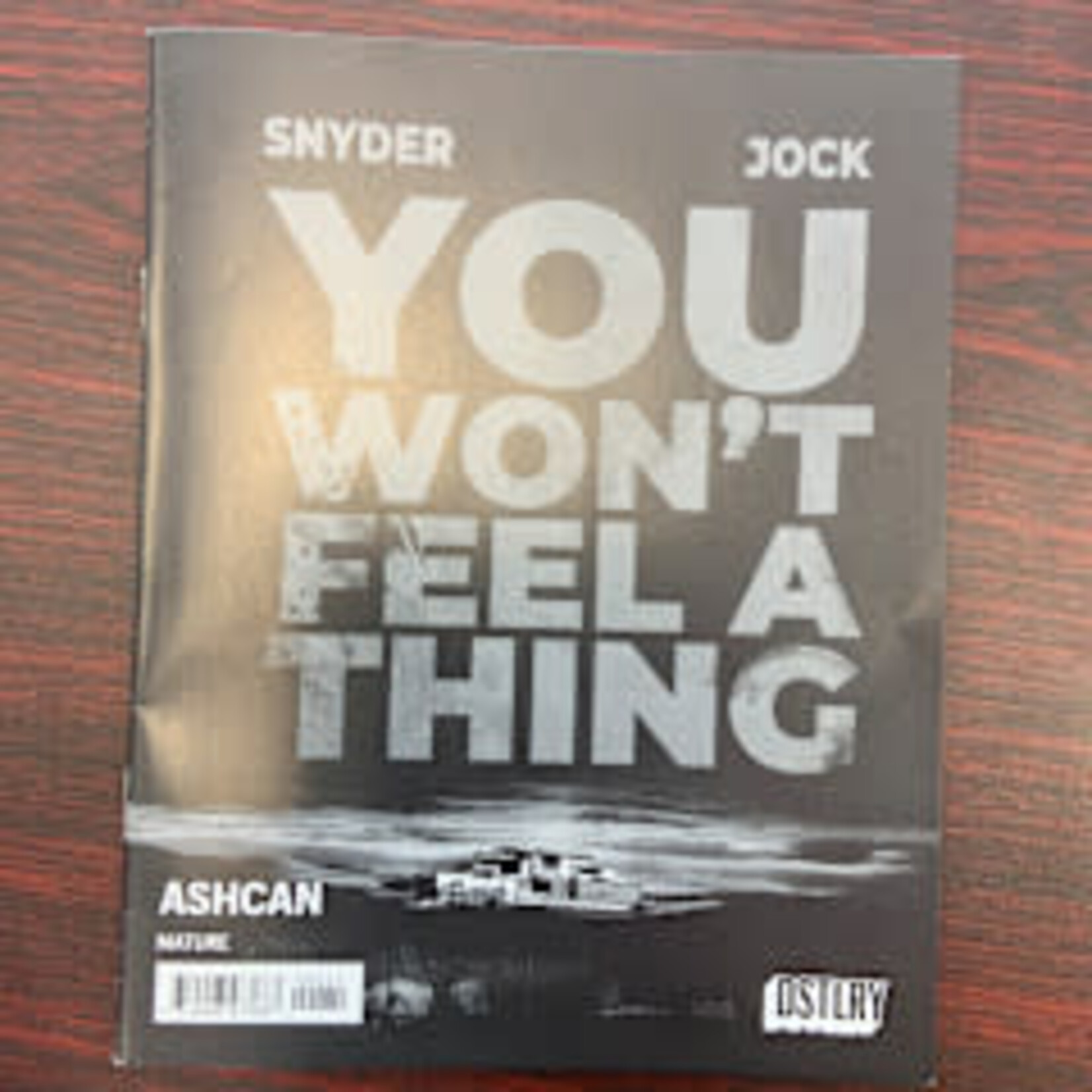 Dstlry Media You Wont Feel A Thing & City Beneath Her Feet Promo Ashcan (