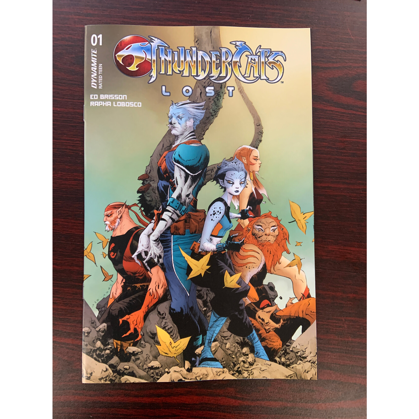 DYNAMITE Thundercats Lost 2025 #1 Cvr E Lee & Chung (C: 1-0-0)