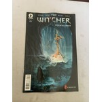 DARK HORSE COMICS Witcher Witchs Lament 2021 #1 (Of 4) Cvr B Finnstark