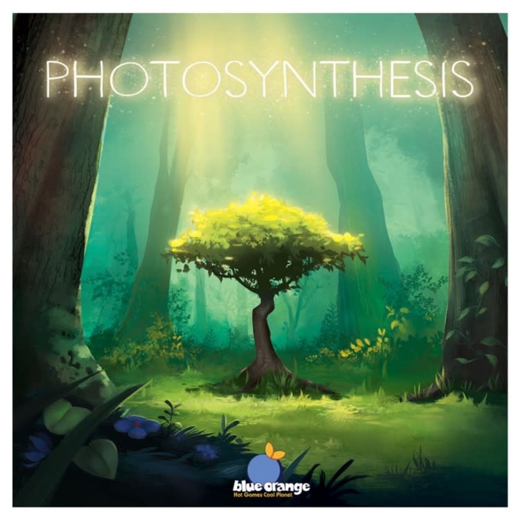 Photosynthesis Regular