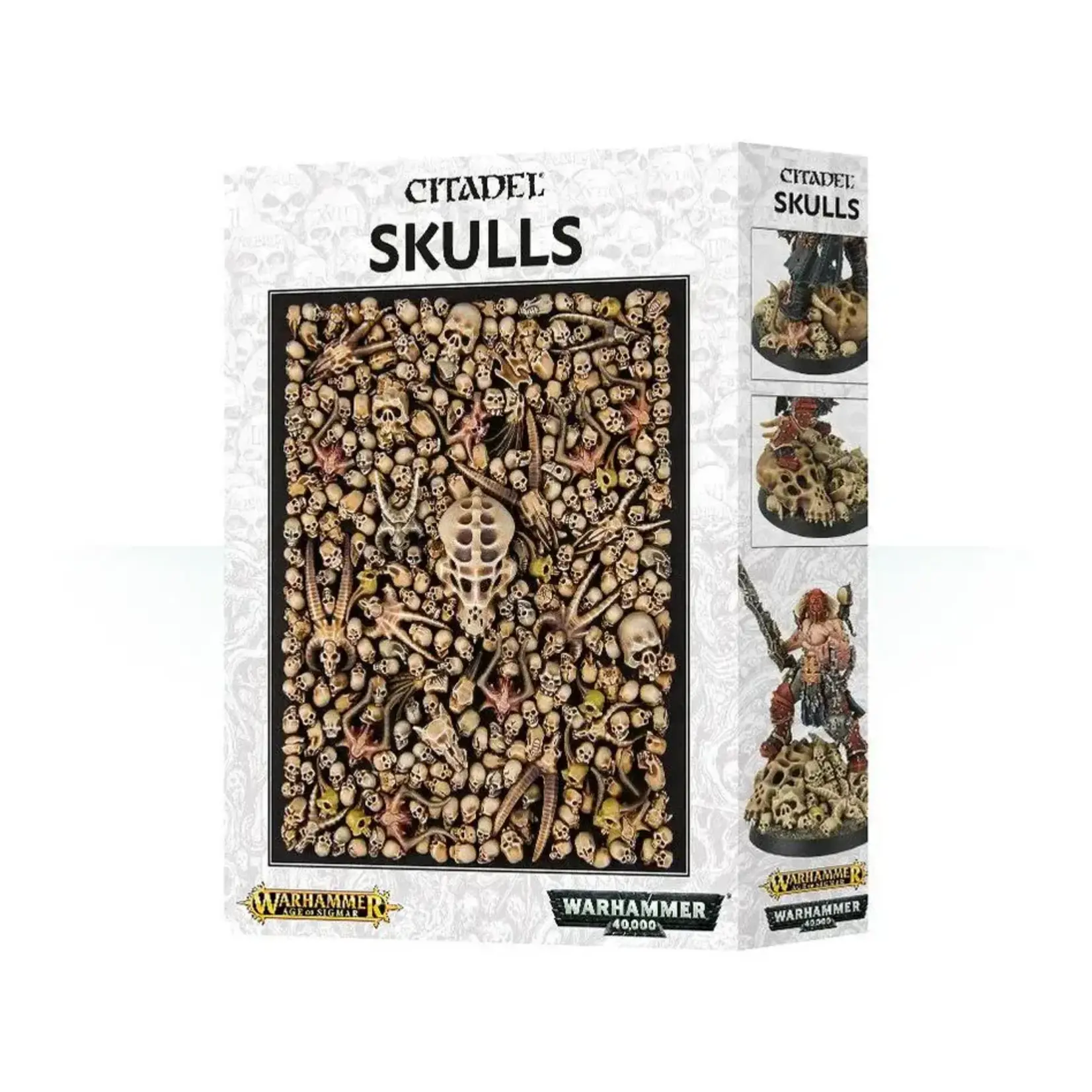 Citadel Citadel Skulls