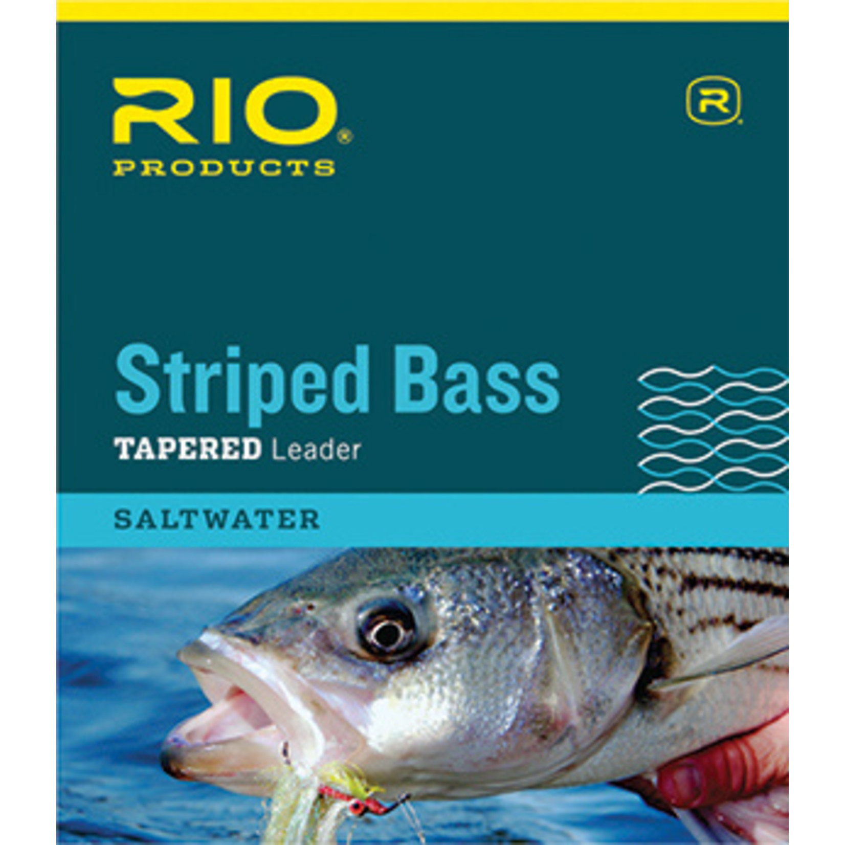 Rio Striped Bass Leader