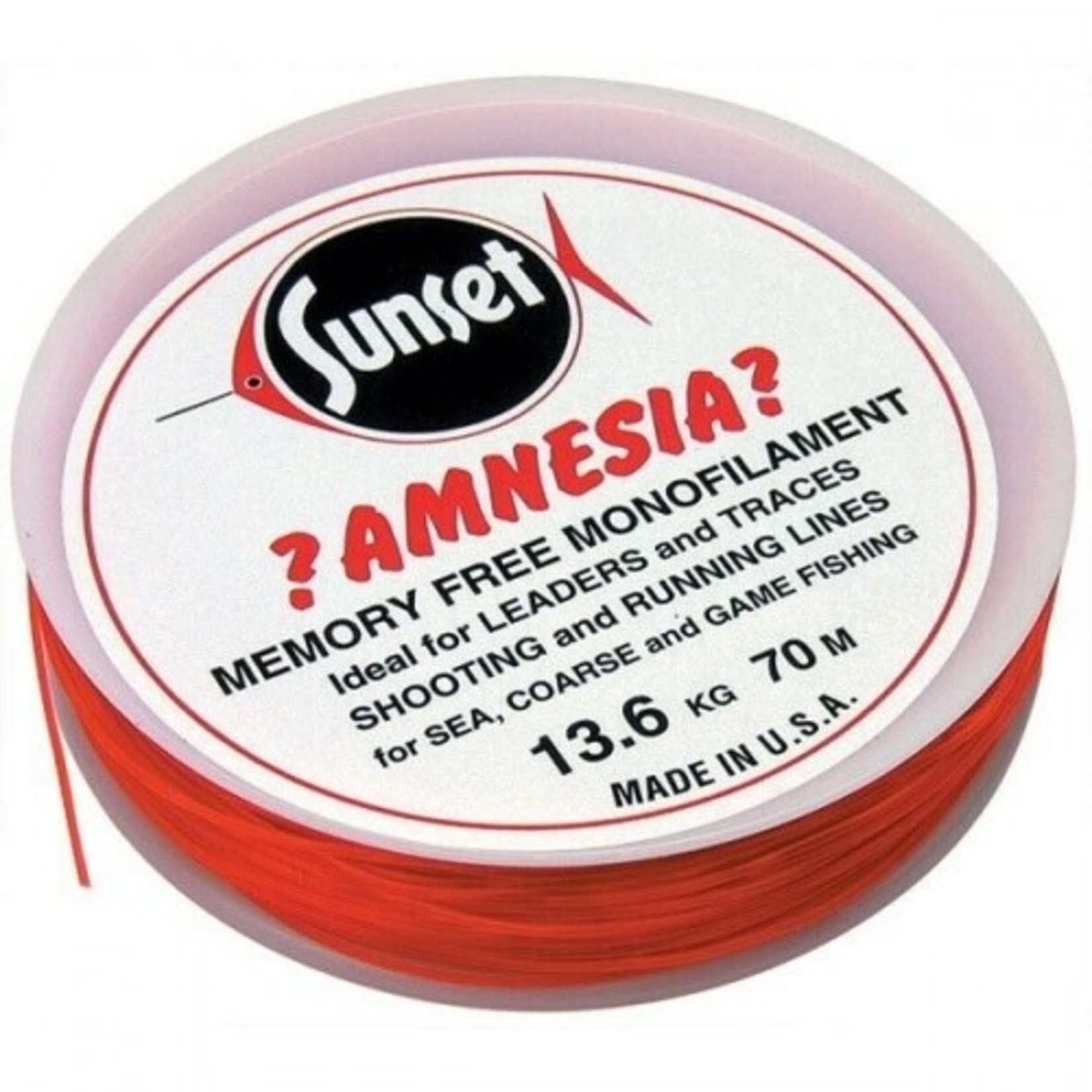 Amnesia Amnesia