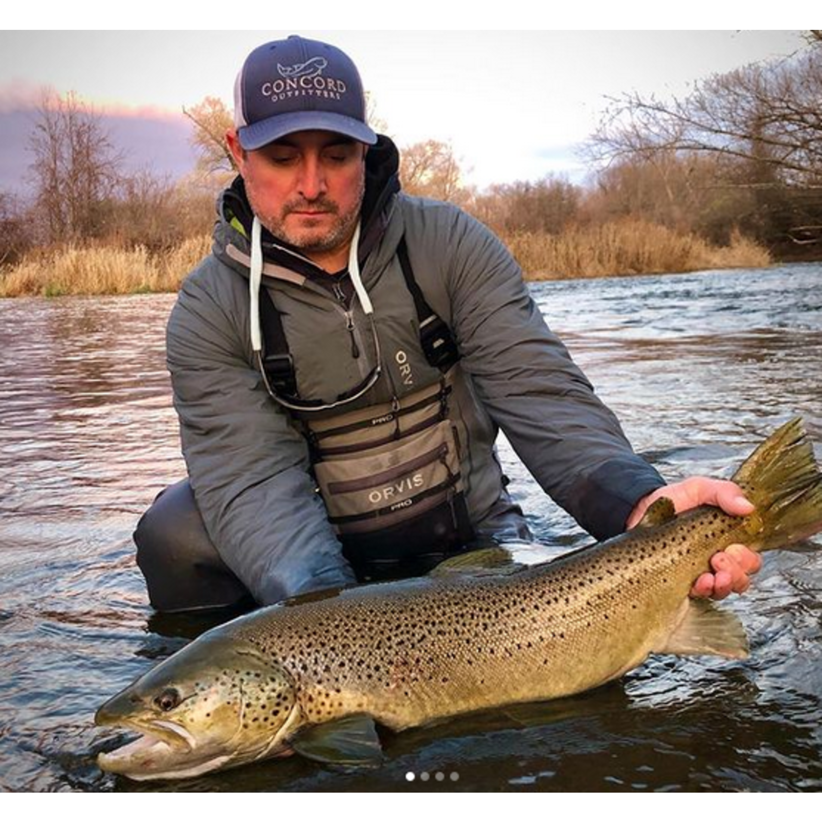 Western NY Steelhead Trips October 26th - 28th, November 2nd - 4th, November 16th - 18th