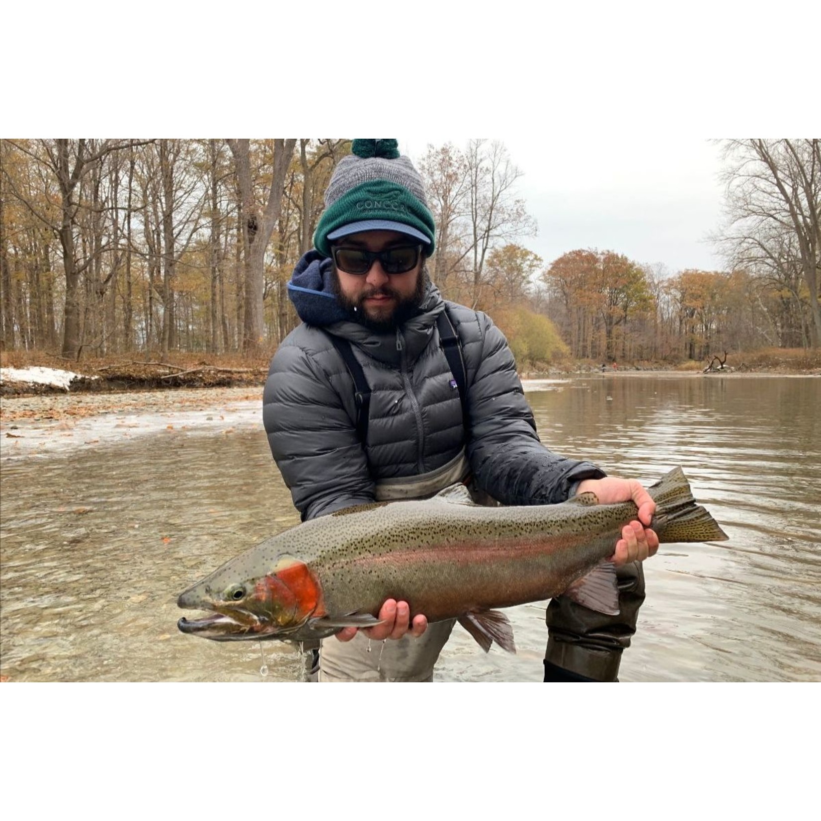 Western NY Steelhead Trips October 26th - 28th, November 2nd - 4th, November 16th - 18th