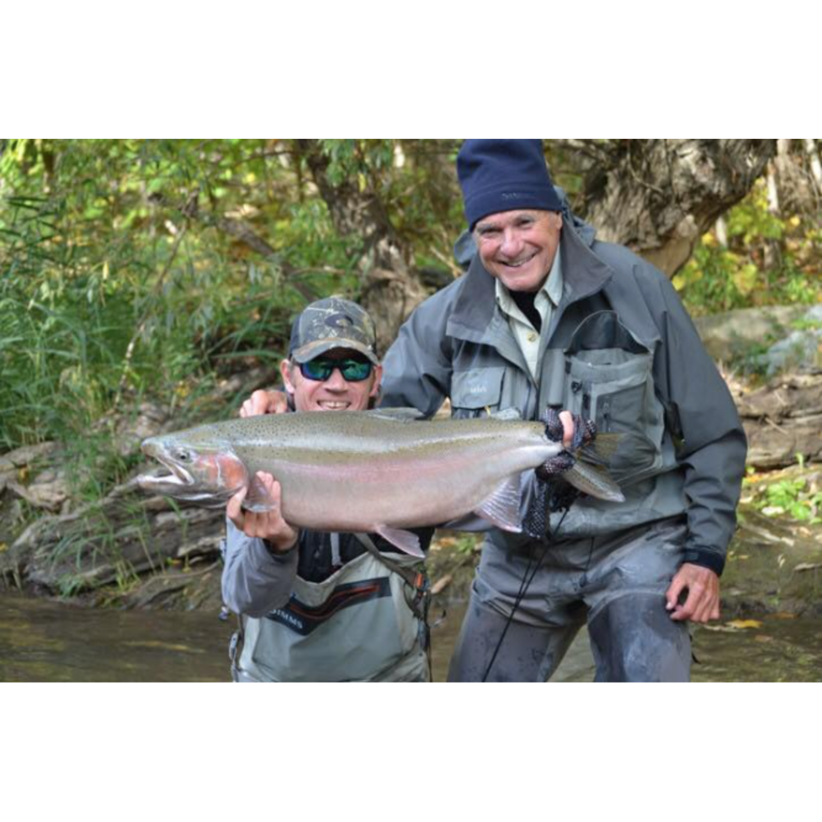 Western NY Steelhead Trips October 26th - 28th, November 2nd - 4th, November 16th - 18th