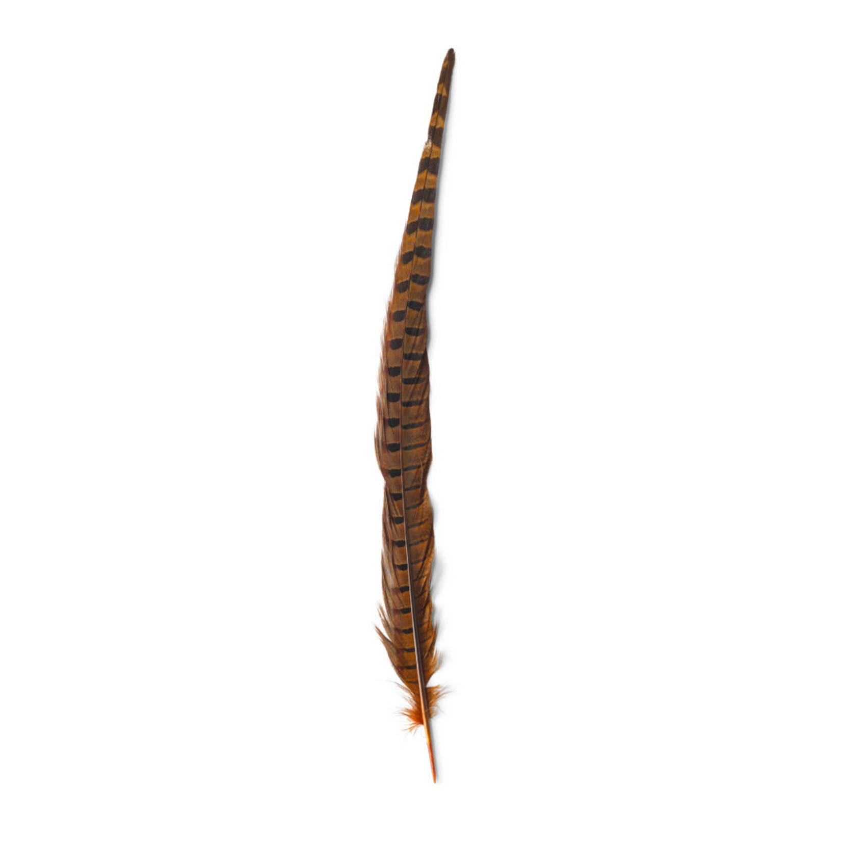 Hareline Ringneck Pheasant Tail Feathers