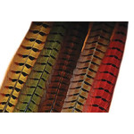 Hareline Ringneck Pheasant Tail Feathers