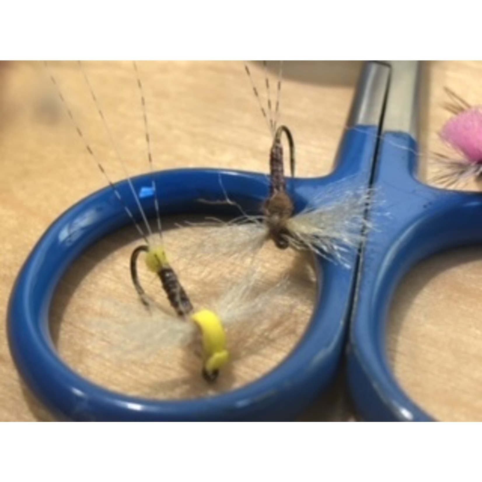 Emergers and Spinners Class w/ Jay Aylward February 18th 9-12pm