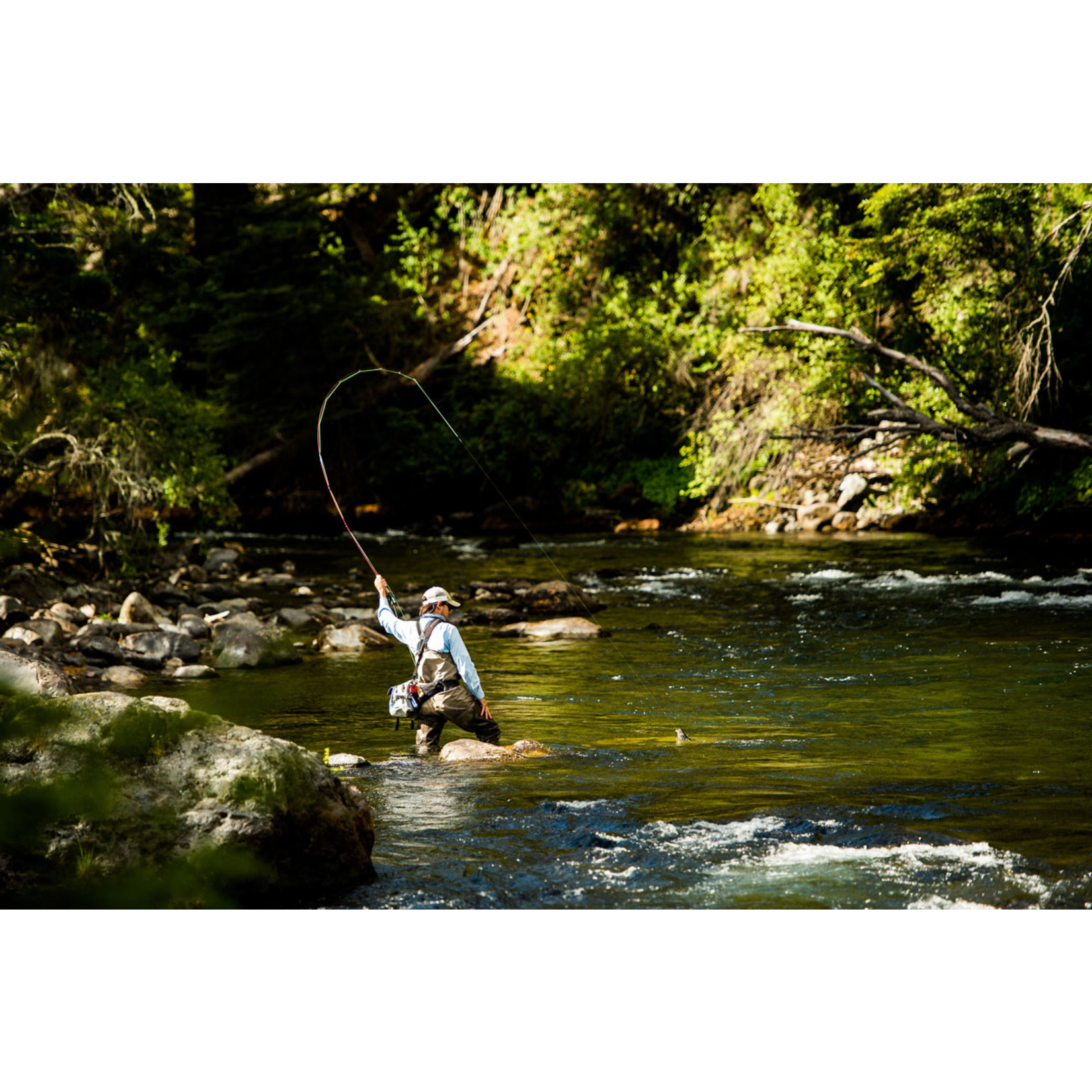 Spring Creek Lodge, Patagonia February 21st - 28th 2026