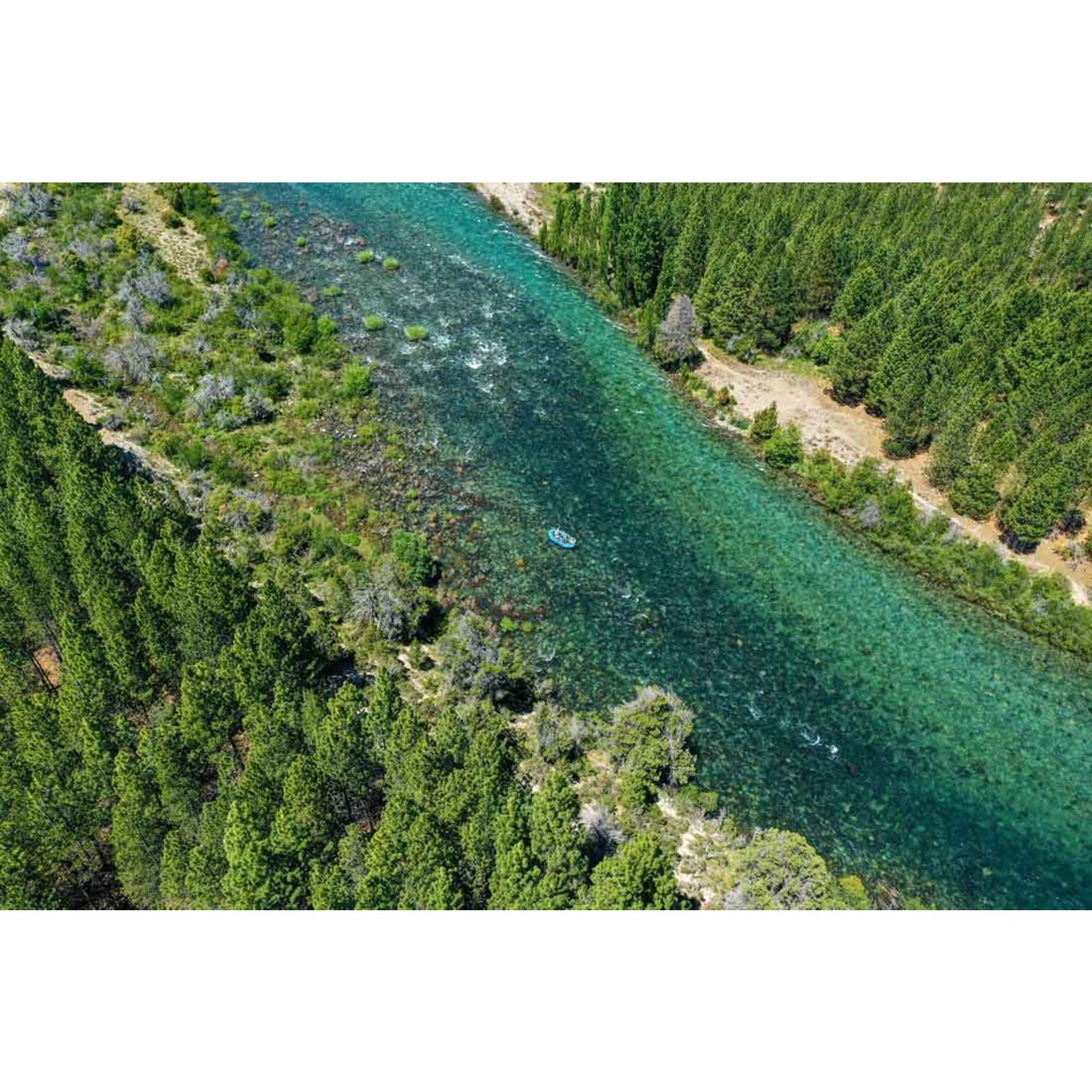 Spring Creek Lodge, Patagonia February 21st - 28th 2026
