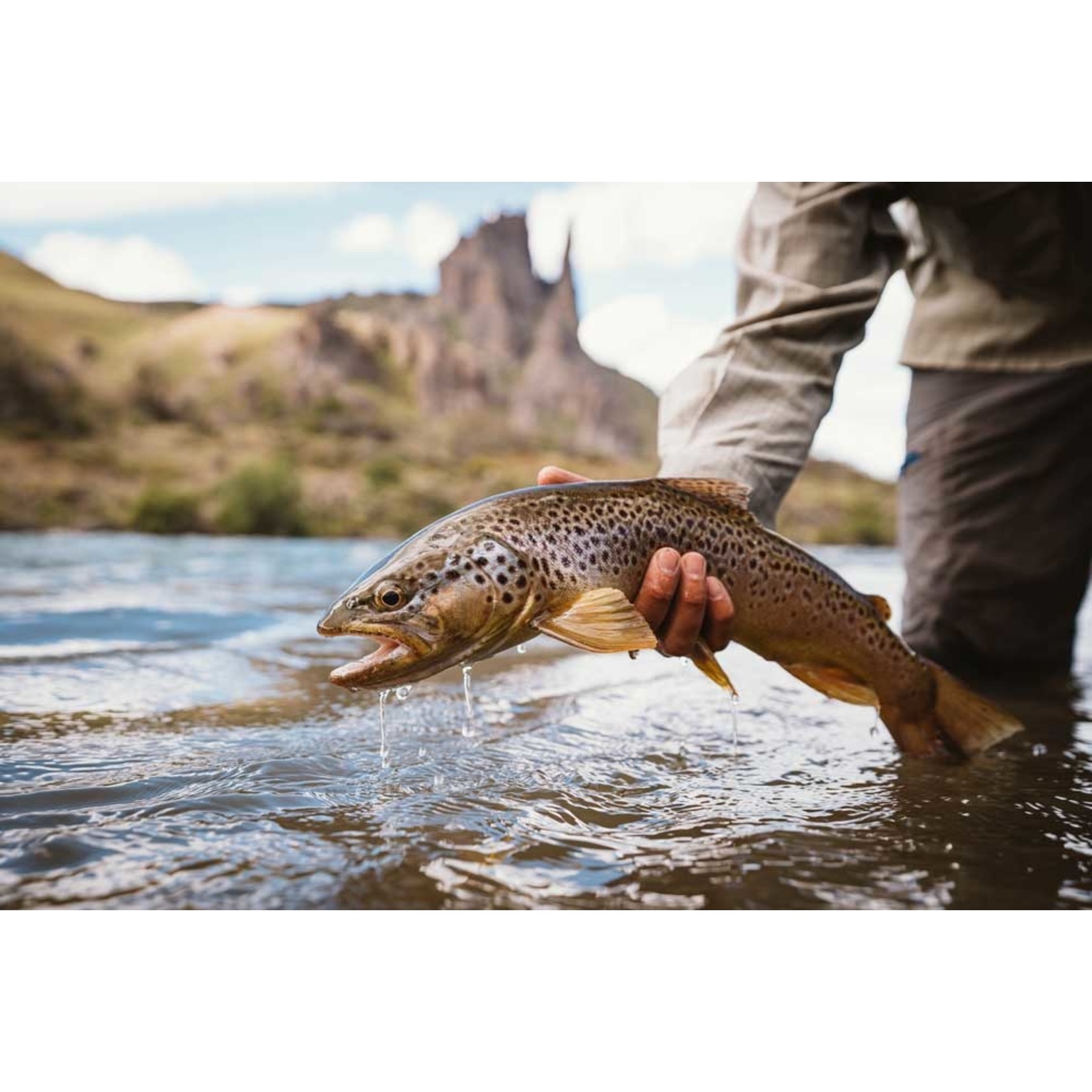 Spring Creek Lodge, Patagonia February 21st - 28th 2026