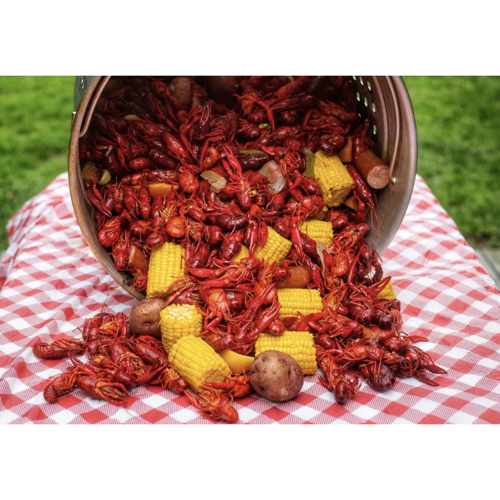 Redfish Trip, Louisiana 2026 (Jan17th-21st) (Jan 21st-25th)