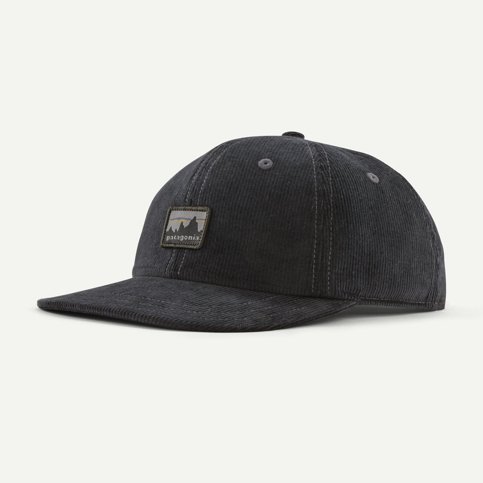 Patagonia Corduroy Cap