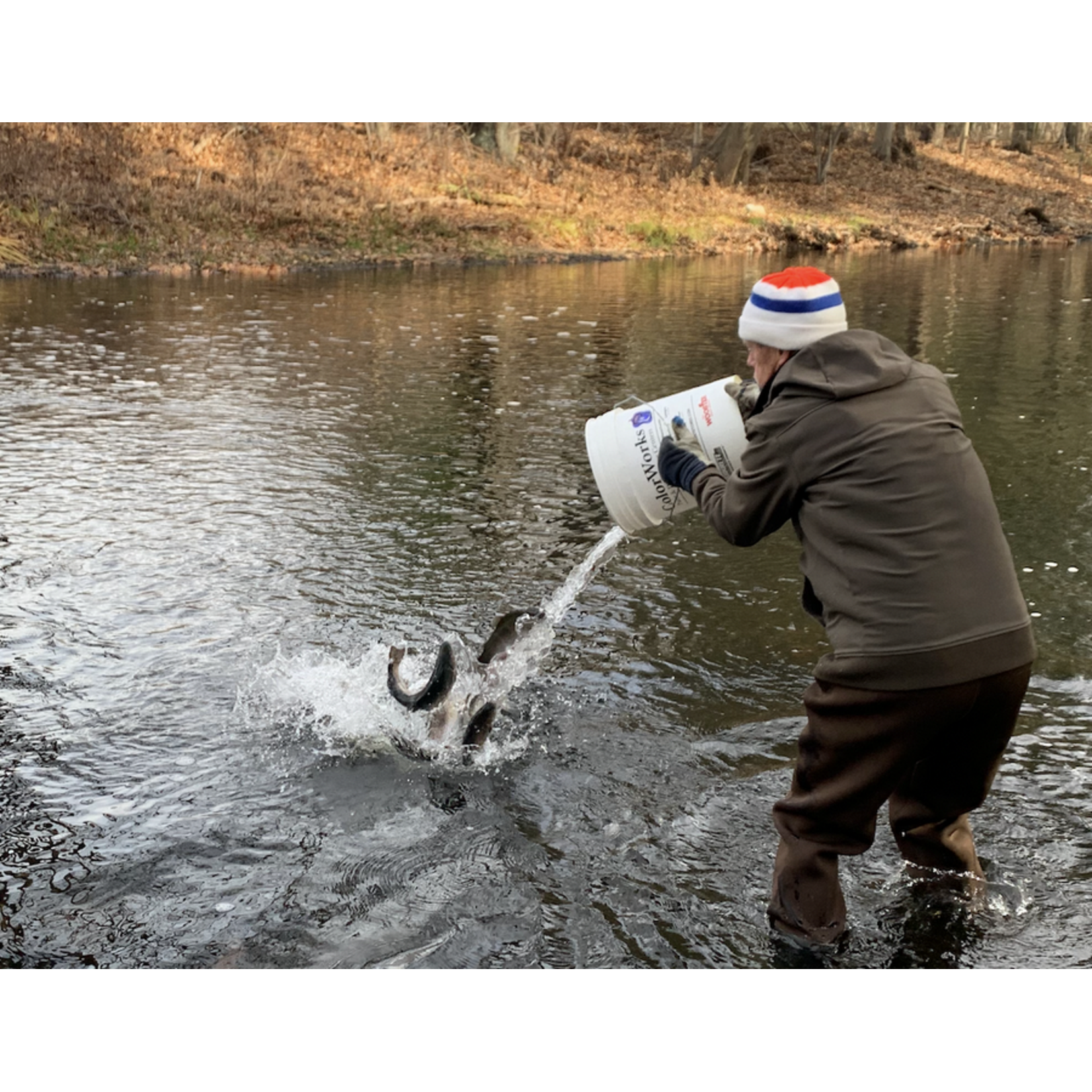 Assabet River Stocking Donation