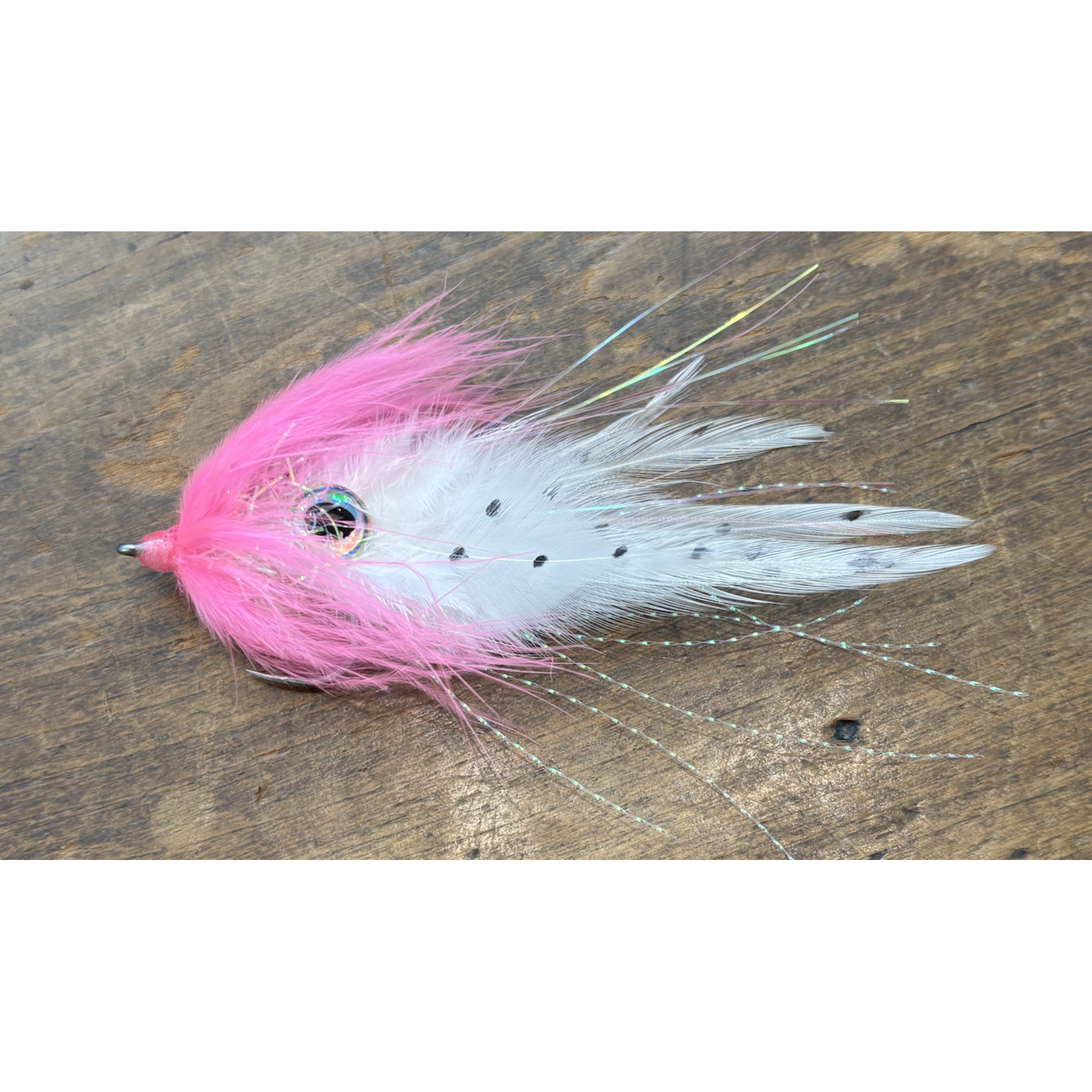 Joe C Mojo Squid