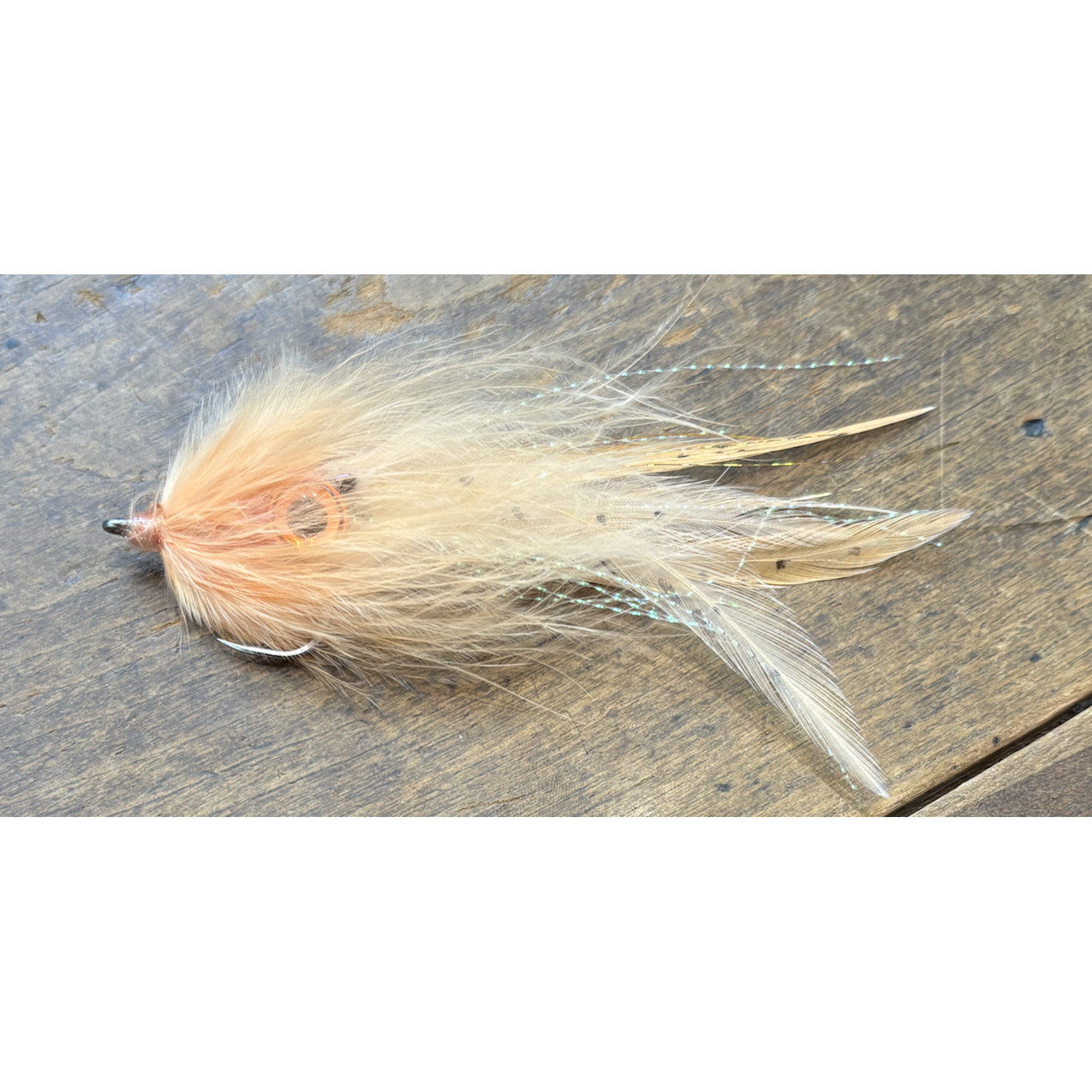 Joe C Mojo Squid
