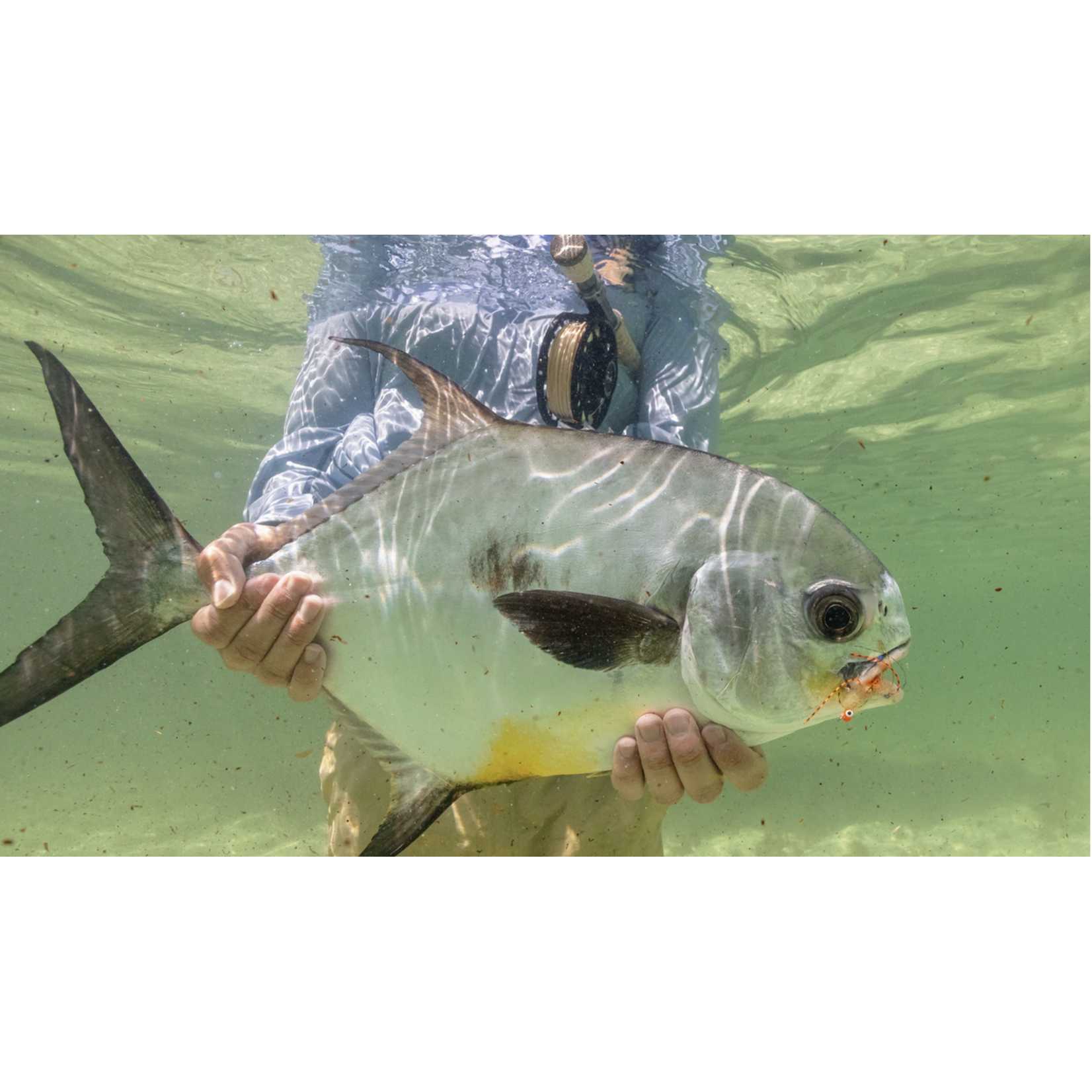 Sian Ka'an Lodge 2027 March 19th-24th (50% Deposit)