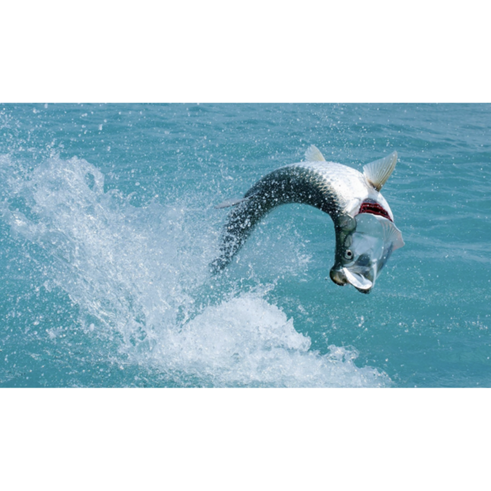 Sian Ka'an Lodge 2027 March 19th-24th (50% Deposit)