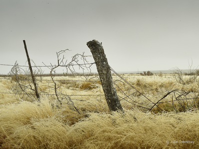 Fence Post