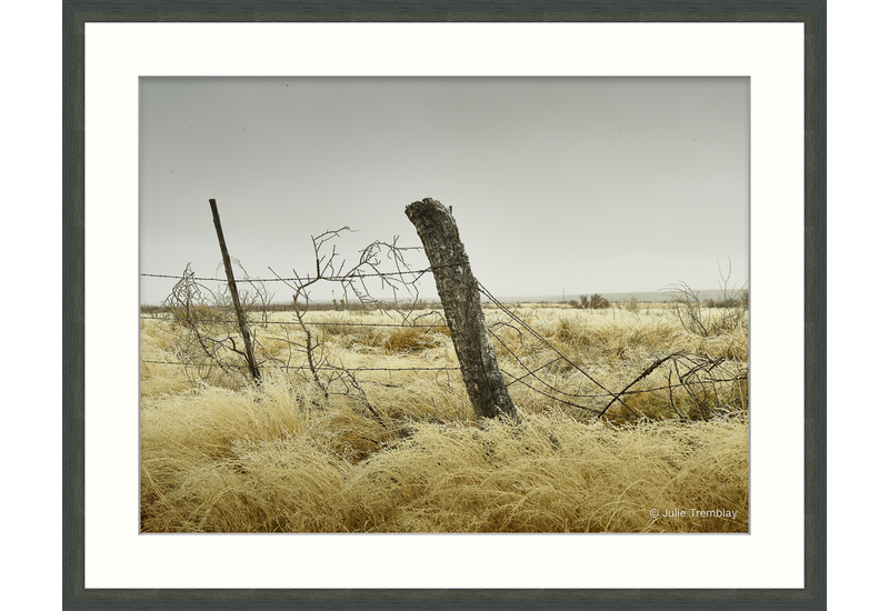 Fence Post