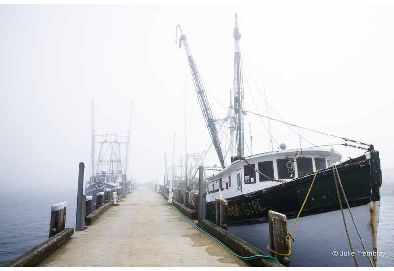 Fishing Wharf