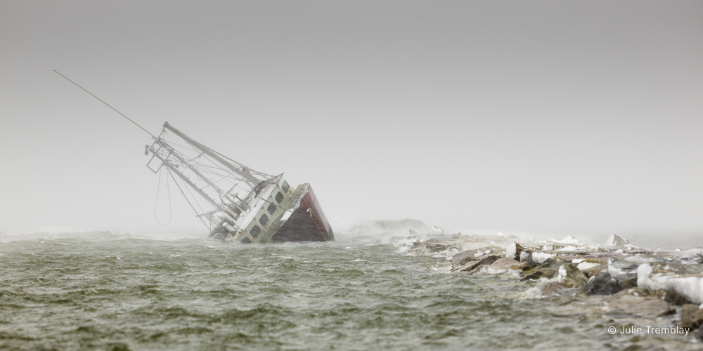 Most Popular/ stock items Artemis